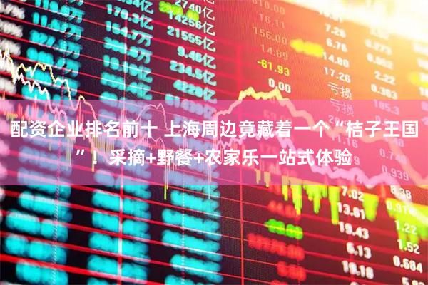 配资企业排名前十 上海周边竟藏着一个“桔子王国”！采摘+野餐+农家乐一站式体验